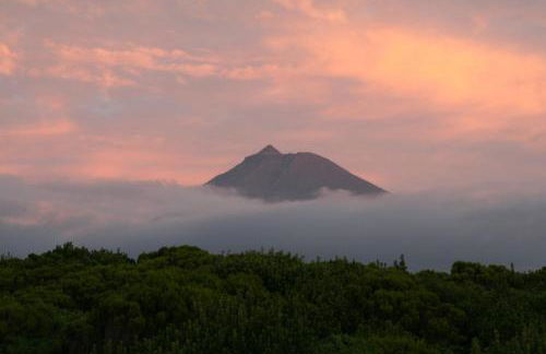 Dream By The Sea - Photo 47