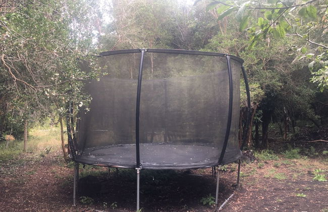 Cabañas Ensenada Bosque Nativo - Foto 42