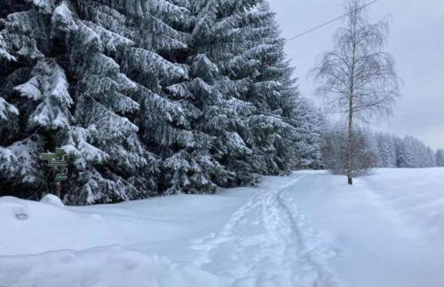 Gorgeous Holiday Home in Altenfeld Thuringia - Foto 56