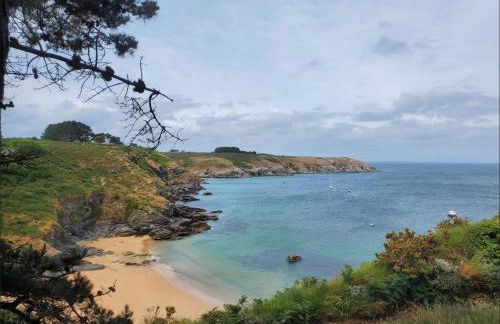 Bel appartement centre Le Palais - Photo 28