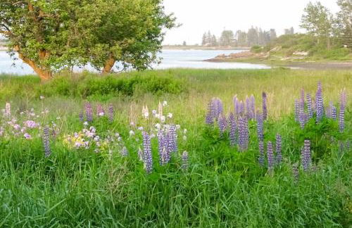 The SeaMeadow - Foto 23