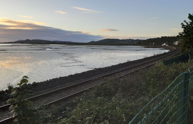 3-bed Bungalow Near Conwy Valley Close to Castle - Photo 16