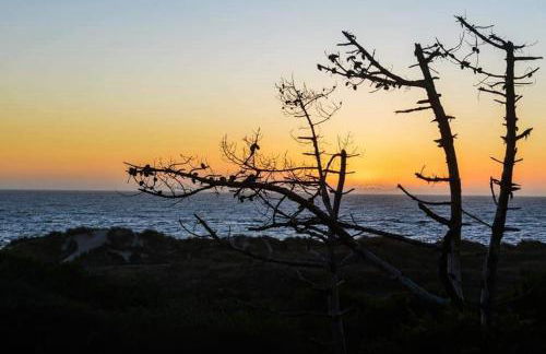 Casa da Amorosa - Foto 80