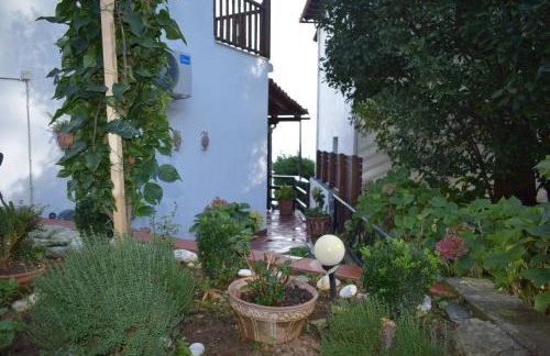 Alisaxni Seaside Studio - Foto 31