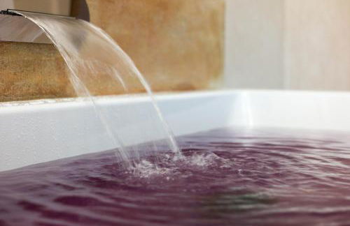 Agriturismo La Torricella - Foto 17