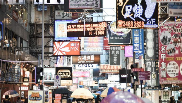 Discover Kowloon and New Territories - Private Tour - Photo 4