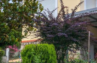 DAFNI'S HOME - Foto 6