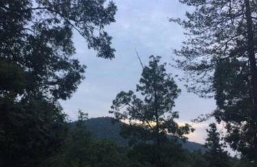 Primrose Cottage - Private Lake, Hot Tub, ATV Trails - Foto 30