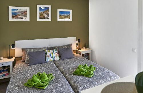 Casa de Cactus - Photo 12