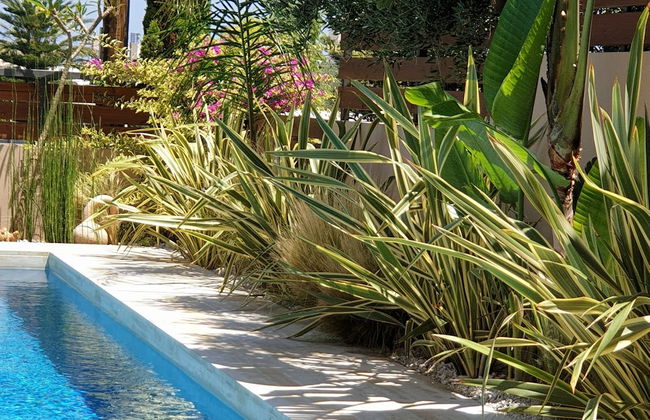 Fos Villa your place under the Cretan Sun with private heated pool - Foto 58