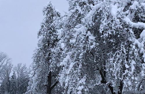 Ferienhof Weber Nieratz - Foto 27