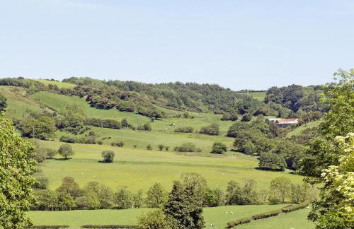 Limber View - Foto 16