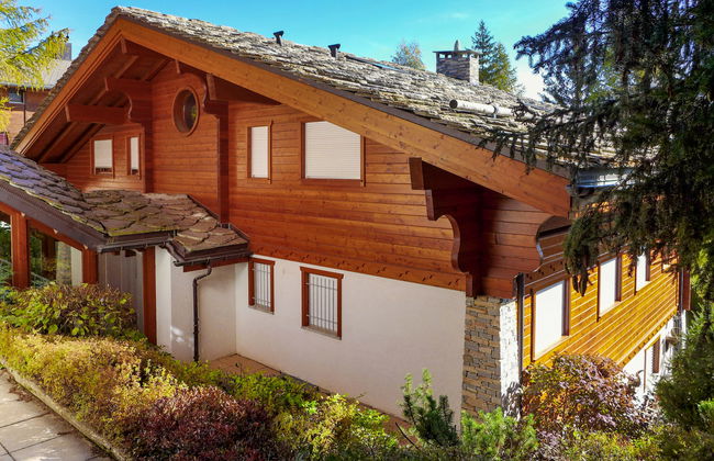 Soldanella 2 - Foto 35