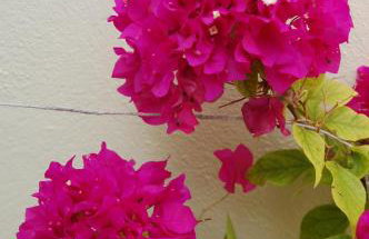 Angelina Apartments - Foto 67