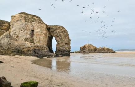 1 Bed in Mitchell oc-p00750 - Foto 16