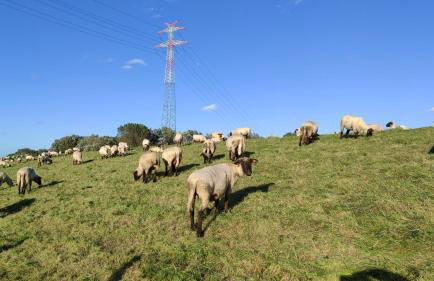 Ferienhaus "Zur Mühle" - Photo 23
