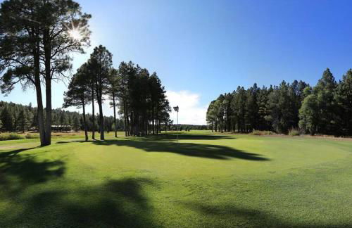 The Bluejay Cabin at Munds Park, AZ! - Foto 23
