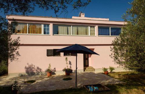 Apartment Kozino 2 - Photo 10