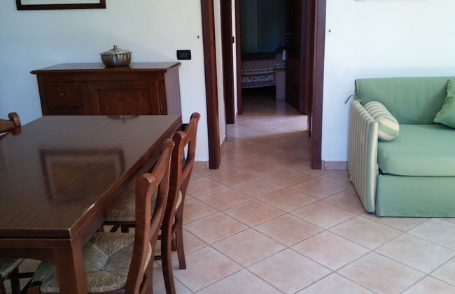 Fattoria La Steccaia - Foto 27