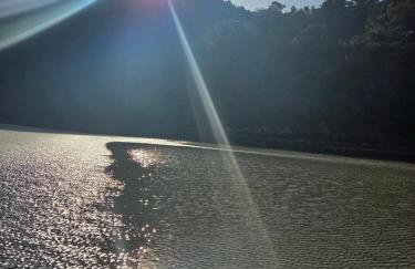 Refúgio na Natureza em Guaratuba - Foto 38