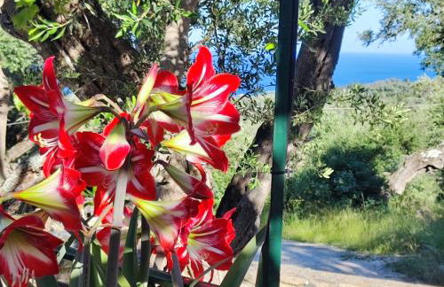 Casa Tereza - Foto 10