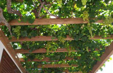 Brezza di Stagnone - Photo 58