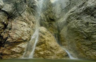 Natura tra bosco e lago - Foto 42