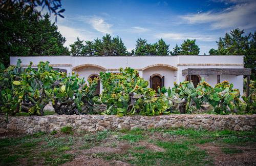 Torre Casciani - Foto 118