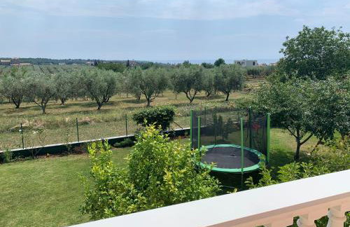 Apartments Rosa - Foto 22