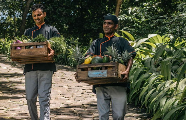 Luxurious 07 Bedroom Hilltop Villa With Private Gym - Photo 48