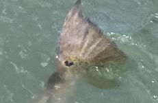 Amazing Sunsets bay view @The Villa at Copano Cove - Photo 26