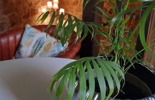 Fragas do Lobo - Casa da Azenha - Foto 9