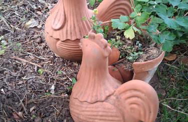 Monte do Rei Santo - Foto 65