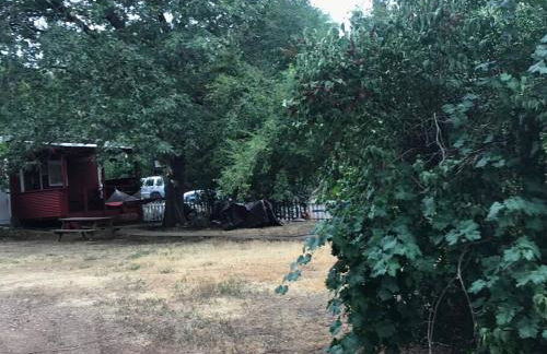 Cozy, Cheerful & Charming Cabin - Historic Julian - Foto 17