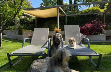 Laghel7 Agritur - Foto 44