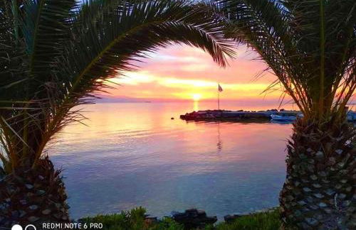 TRAVELLERS HOUSE - Foto 20