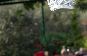 Il Tiglioré - Foto 33