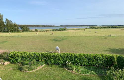 Boddenperle - Foto 30