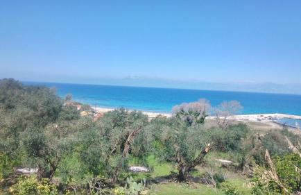 Maria's Paradise - Foto 64