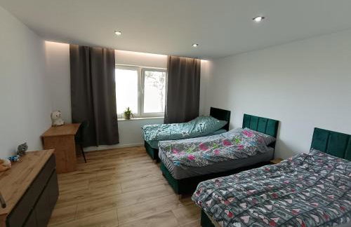 Siedlisko u Agi nad Biebrzą - Photo 4