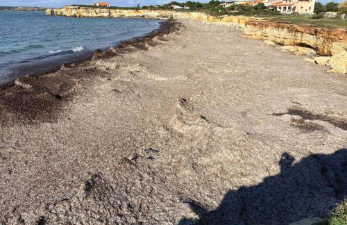 Fronte Mare S'Arena Scoada - Foto 61