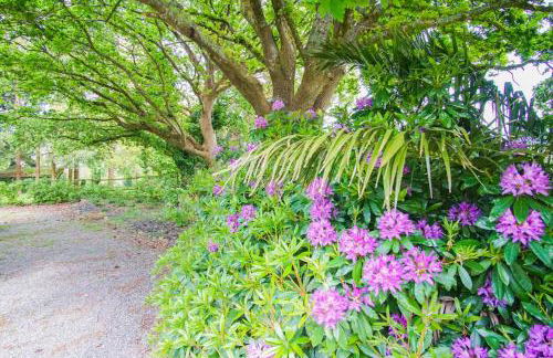-PETREL- Maison de campagne avec grand jardin - Photo 41