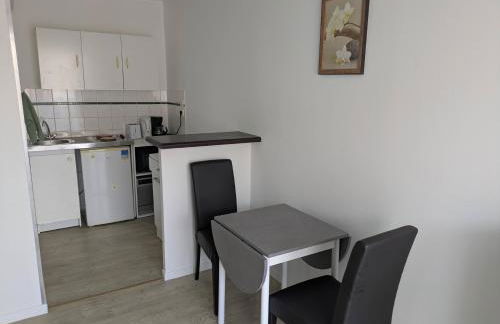 Appart T1bis 31m2 Blagnac proche Tram - Foto 3