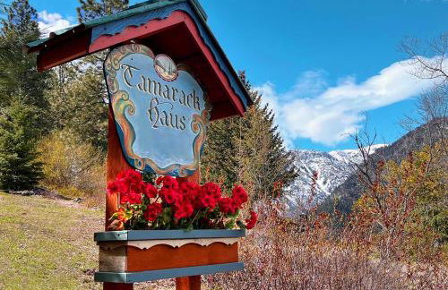 Tamarack Haus Hot Tub and EV Charging Walk Dtwn! - Foto 15