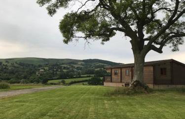 RedWood Lodge - Photo 28