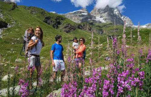 Apartment in Antey-saint-andre Near Ski Area - Foto 52