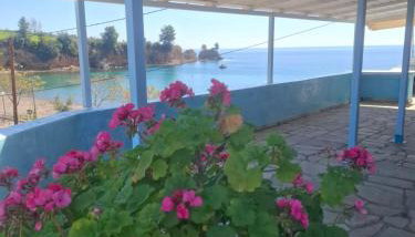 Agnanti Kotsikia - Foto 5