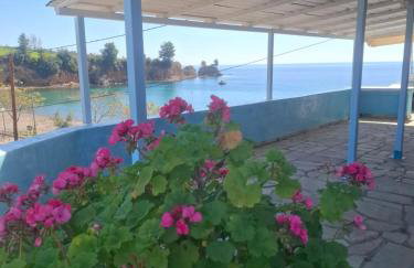 Agnanti Kotsikia - Foto 5