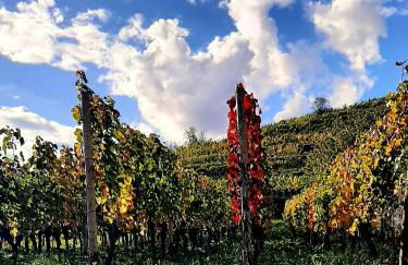 Ferienwohnung "Am Blauwasser" mit Infrarotkabine - Foto 25