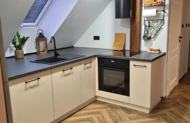 Apartament nad BRDĄ , agroturystyka. - Foto 16